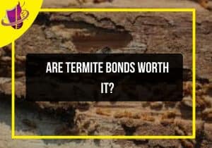Read more about the article Are Termite Bonds Worth It?