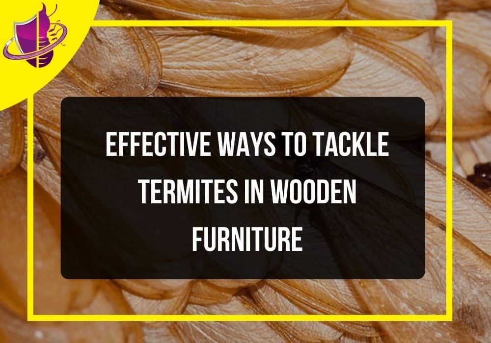 You are currently viewing Effective Ways to Tackle Termites in Wooden Furniture