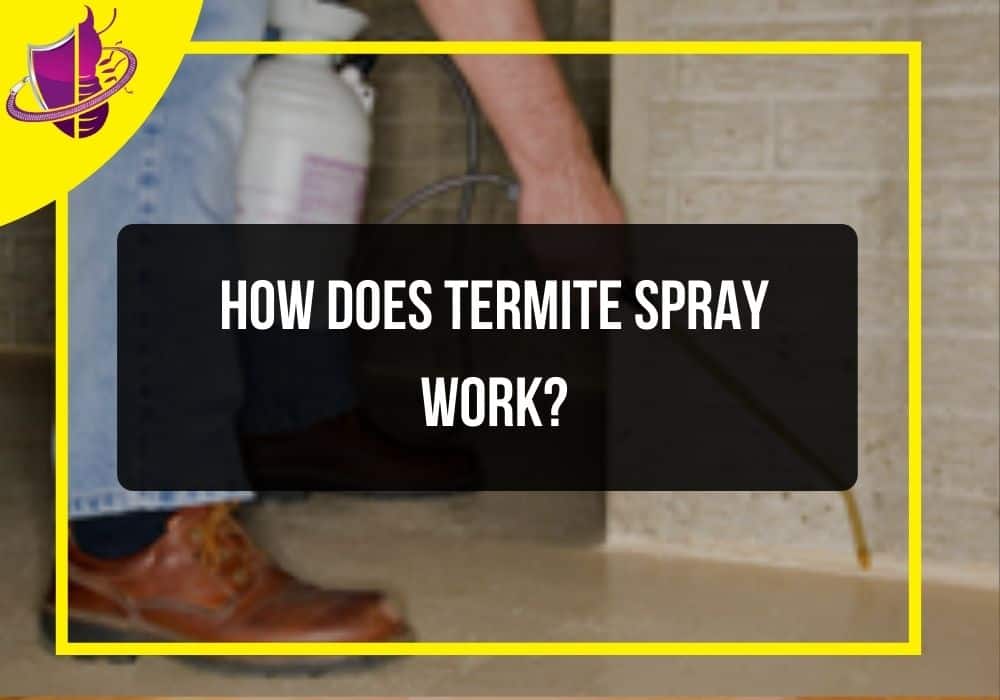 You are currently viewing How Does Termite Spray Work?