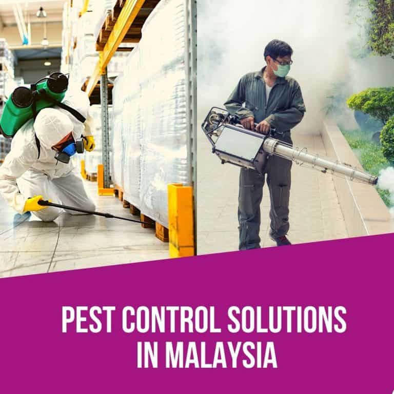 About Us Zip Pest Solutions