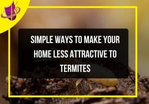 Read more about the article Simple Ways to Make Your Home Less Attractive to Termites