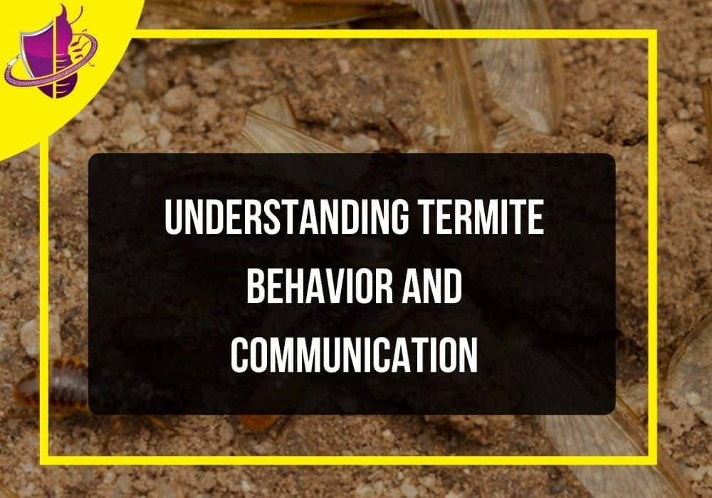 You are currently viewing Understanding Termite Behavior and Communication
