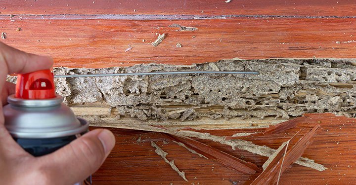 Wood Treatment For Termites