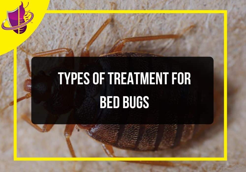 You are currently viewing Types of Treatment for Bed Bugs