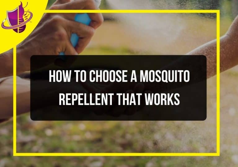 How to Choose a Mosquito Repellent that Works Zip Pest Solutions