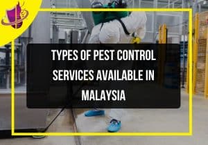 Read more about the article Types Of Pest Control Services Available in Malaysia
